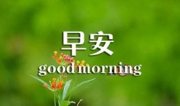 早安最新爆料图片大全,最新图片大全揭秘瞬间